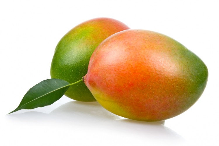 大人 可愛い 服  Mangoes, Palmer Fibreless Mangoes American Sweet Richly and 洋楽